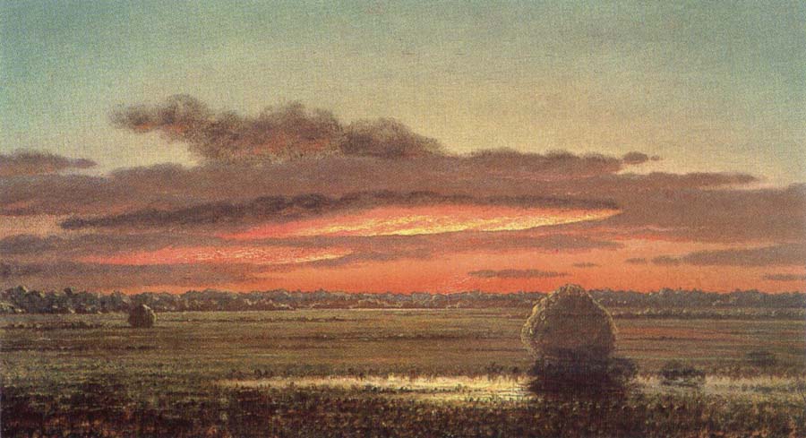 Sunset above the swamp
